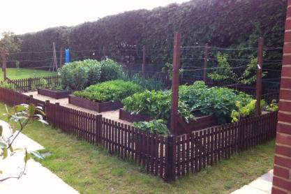 A Beginner’s Guide to Raised Beds