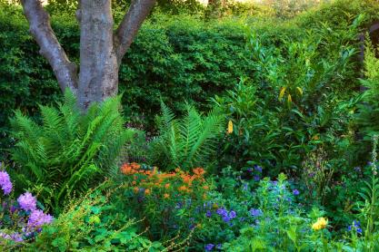 Maintaining a Lush Garden This Summer: Top Garden Maintenance Tips