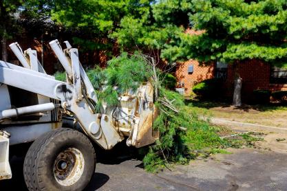 Professional Gardening in Surrey: Green Waste Disposal Services