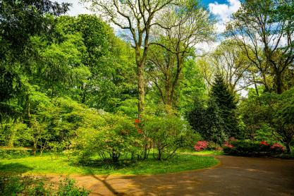 Preparing Your Garden for Summer: A Guide to Crafting Refreshing Light Shade