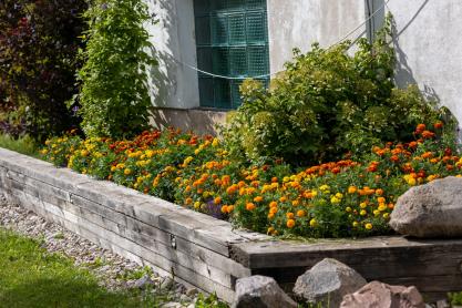 Flower Bed and Border Maintenance – What’s Included?