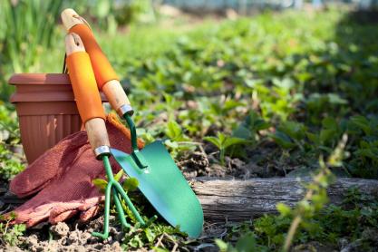 5 Essential Garden Maintenance Tools