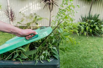 How Our Green Waste Disposal Services Benefit The Environment