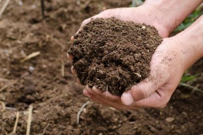 Composting in our garden