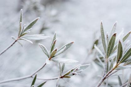 How To Navigate Garden Estate Management in Cold Weather