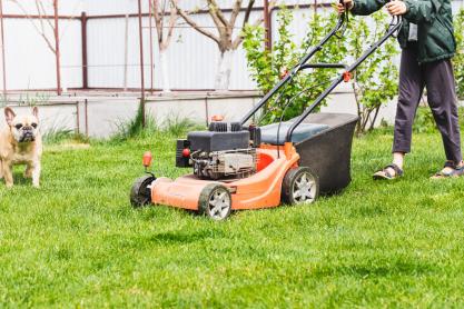 What Is End of Tenancy Garden Maintenance?