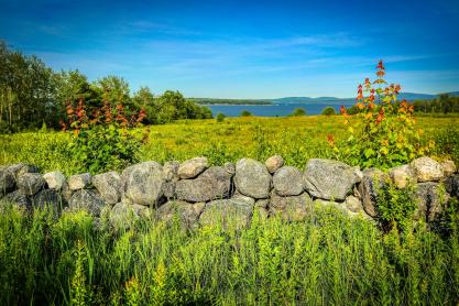 Everything You Need To Know About Dry Stone Walls