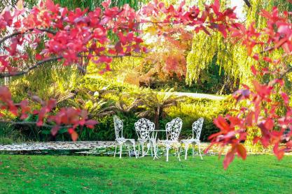 Bringing Colour to Every Season: Year-Round Garden Planning