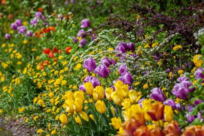 New Year, New Garden: 5 Ways To Get Your Garden Ready For Spring