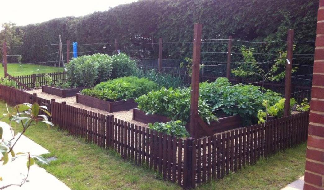 A Beginner’s Guide to Raised Beds