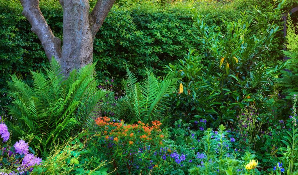 Maintaining a Lush Garden This Summer: Top Garden Maintenance Tips