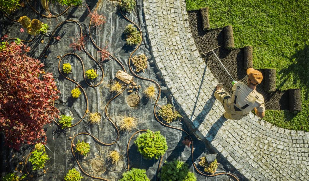 How Commercial Landscaping Enhances Business Appeal