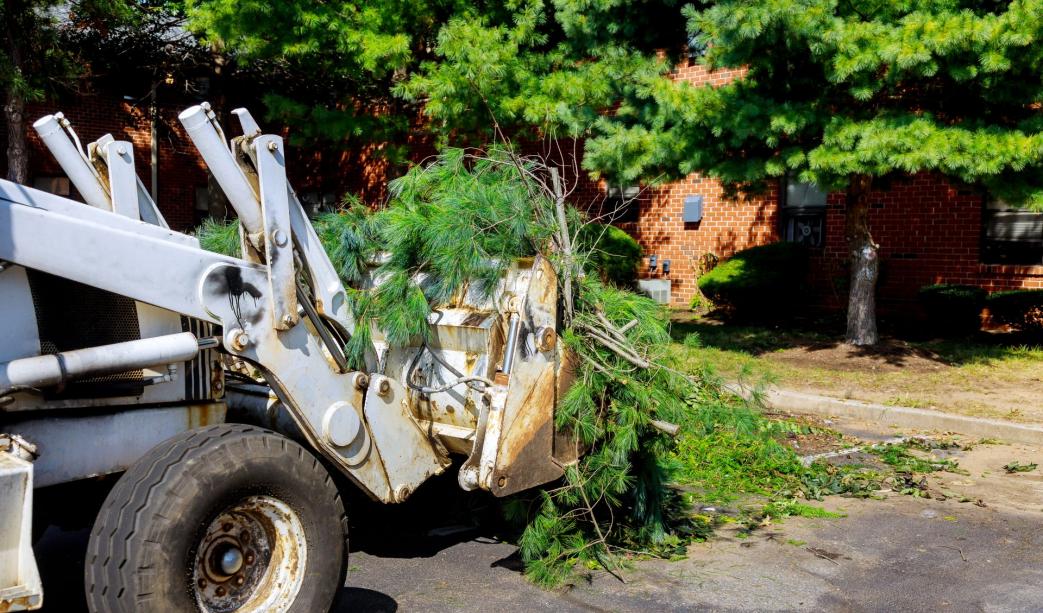 Professional Gardening in Surrey: Green Waste Disposal Services