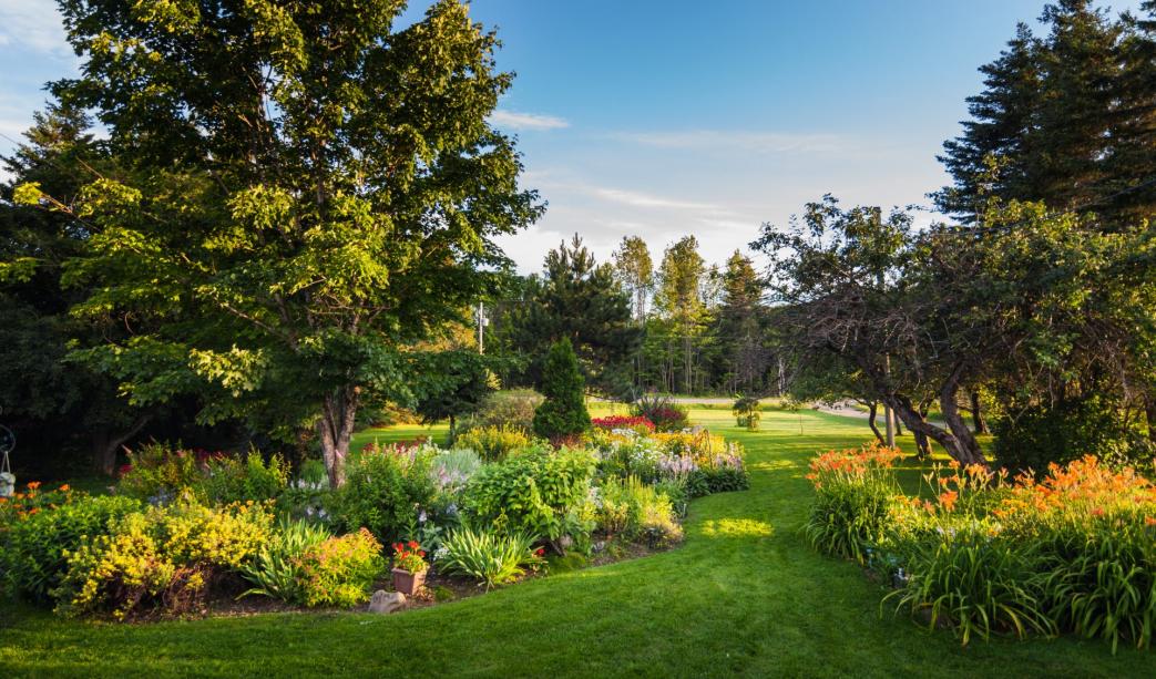 Entertainment All Year: Designing a Garden for Every Season