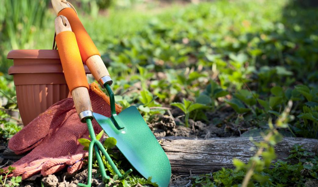 5 Essential Garden Maintenance Tools