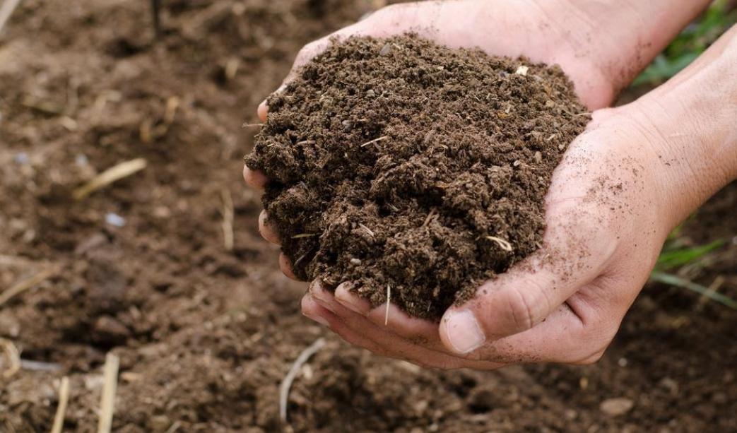 Composting in our garden