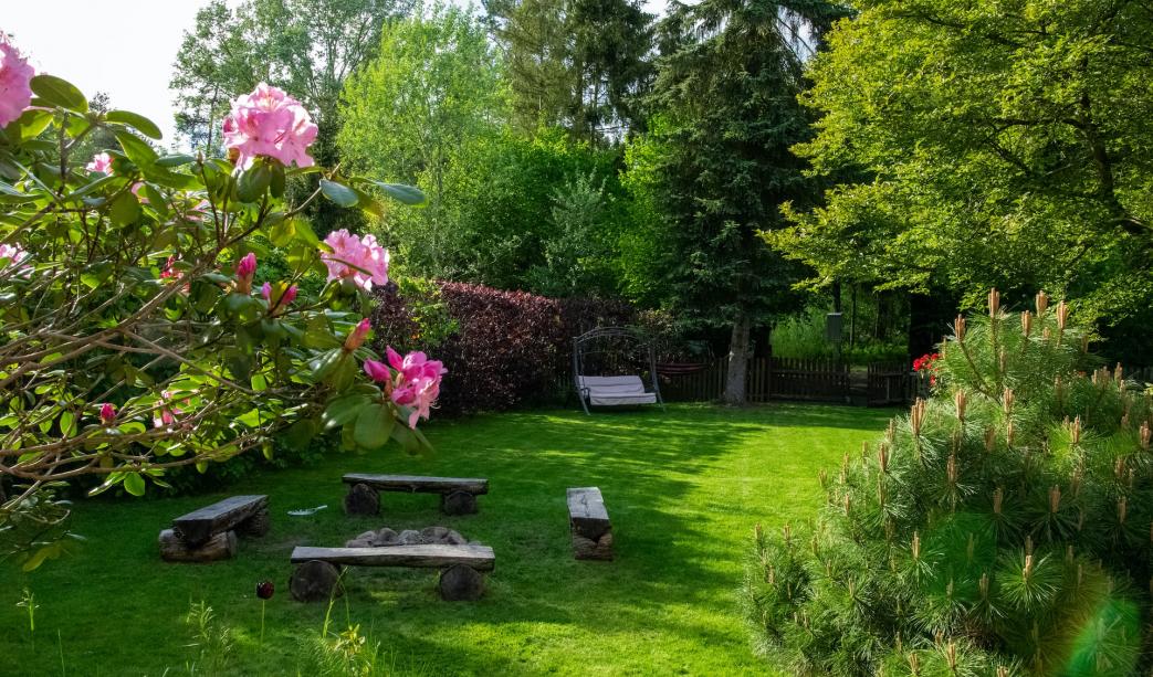 How To Transform Your Garden On A Budget