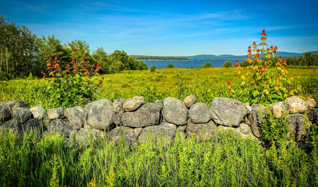 Everything You Need To Know About Dry Stone Walls