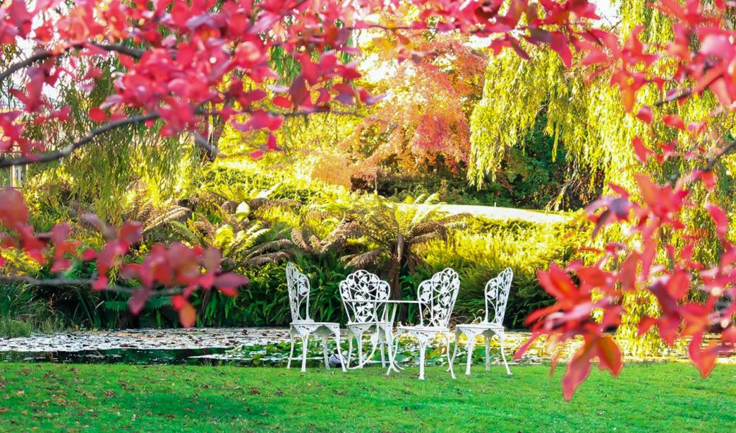 Bringing Colour to Every Season: Year-Round Garden Planning