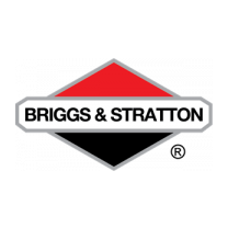 Briggs & Stratton